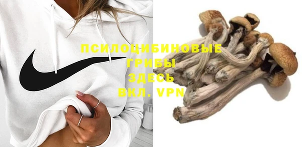 хмурый Пестово