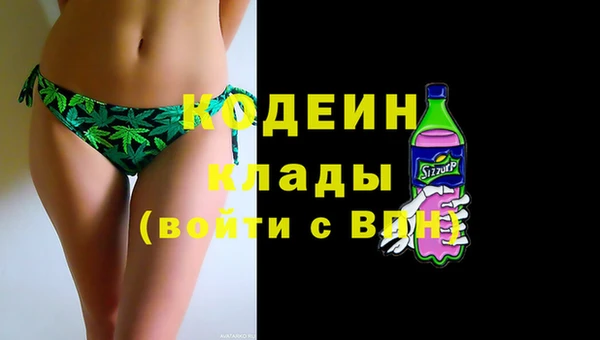 хмурый Пестово